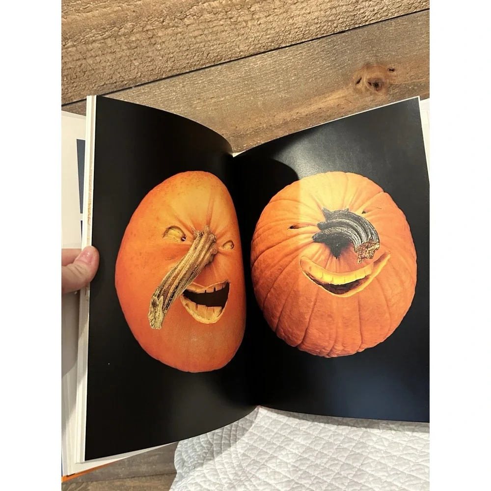 Play with Your‎ Food by Joost Elffers (1997, Hardcover)